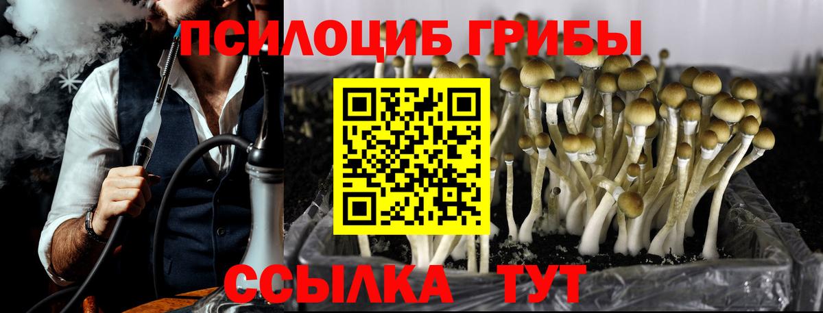 Ангарск  Галлюциногенные грибы Psilocybine cubensis  Вход с VPN 
